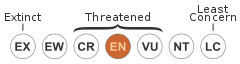 Status iucn3.1 EN.svg