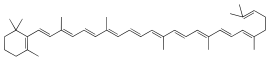 Skeletal formula of γ-carotene