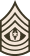 Command Sergeant Major