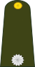 Argentina-Army-OF-(D).svg