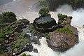 Perspektiven des Parque nacional Iguazú 70 (21494738873).jpg