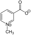 Trigonelline Structural Formula V2.svg