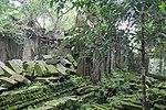 Ancient Khmer Temple of Beng Mealea - j.jpg