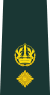 11-Ghana Army-LTC.svg