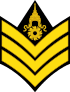 Sergeant