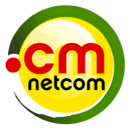 Netcom.cm logo.png