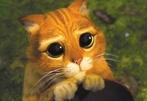 Screenshot of a helpless-looking Puss in Boots, with big eyes
