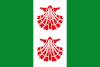 Flag of Espinosa del Camino