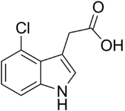 Skeletal structure diagram