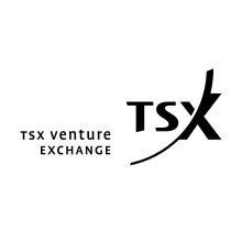TSX Venture Exchange logo.svg