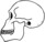 Rudolfensis Skull.png