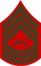 E-8 insignia