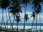 PlayaElAgua (Margarita-VEN).jpg
