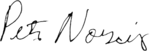 Peter Norvig signature.png
