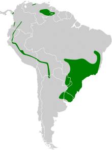 Lochmias nematura map.svg