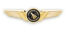 US - FAA Astronaut Wings version 2.png