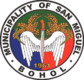 Official seal of San Miguel