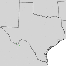 Quercus graciliformis range map 1.png