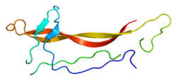 Protein NTF3 PDB 1b8k.png