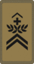 OR-6 - Sergent-Major
