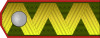 ROA-Generalmajor h.svg