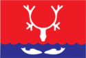 Flag of Naryan-Mar