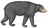 Ursus malayanus - 1700-1880 - Print - Iconographia Zoologica - Special Collections University of Amsterdam - (white background).jpg