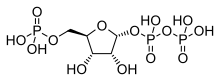 Phosphoribosyl pyrophosphate.svg