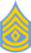 NJSP - Sergeant Major.png