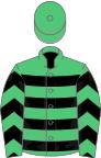 Emerald green, black hoops, chevrons on sleeves