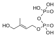 Chemical structure of HMB-PP