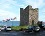 Cowd Castle, Ardglass - geograph.org.uk - 1538207.jpg