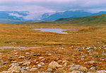 Hardangervidda 1986.jpg