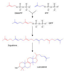 Chemical-diagram flow chart