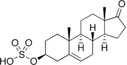 DHEA sulfate.png