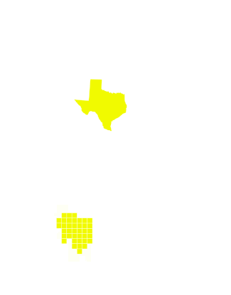 TX yellow.svg