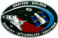 Sts31 flight insignia.png