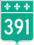 Route 391 shield
