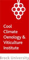 CCOVI Coin Low Res.jpg