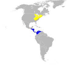 Vermivora chrysoptera map.svg