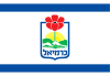 Flag of Karmiel.svg
