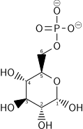 Alpha-D-glucose-6-phosphate wpmp.svg