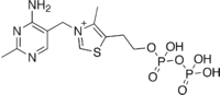 Thiamine diphosphate.png