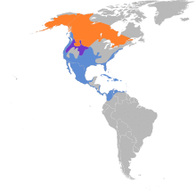 Mareca americana map.svg