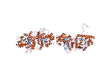 PDB 1fdj EBI.jpg