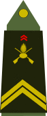 insignia with two chevrons