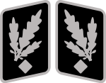 SS-Gruppenführer Collar Rank.svg