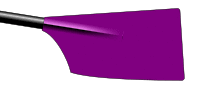 Image showing the rowing club's blade colours
