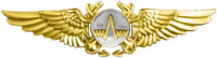 Naval Aviation Observer (Radar) Insignia.png