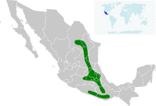 Geothlypis nelsoni map.svg